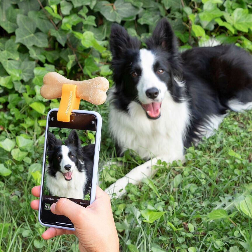 Sponka za hrano za fotografiranje živali Pefie InnovaGoods